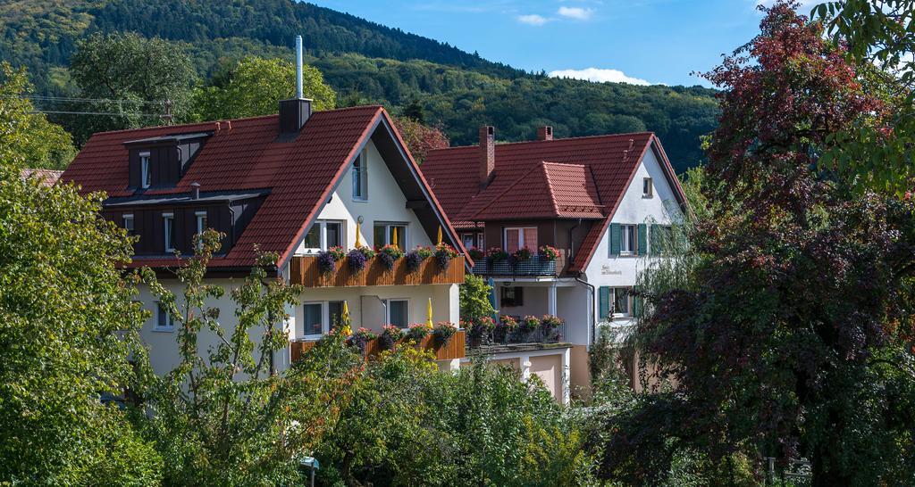 Апартаменты Haus Am Blauenbach Шлинген Экстерьер фото